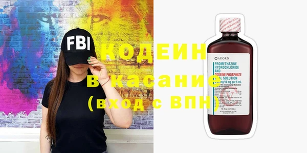 прущие грибы Абинск