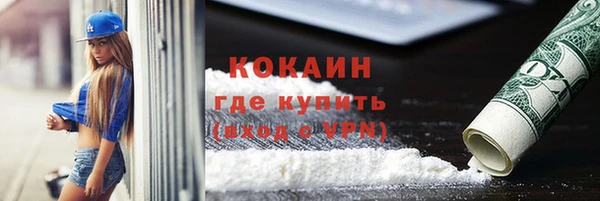 прущие грибы Абинск
