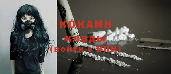 прущие грибы Абинск