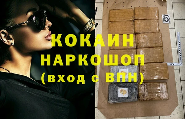 прущие грибы Абинск