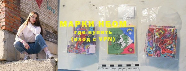 прущие грибы Абинск