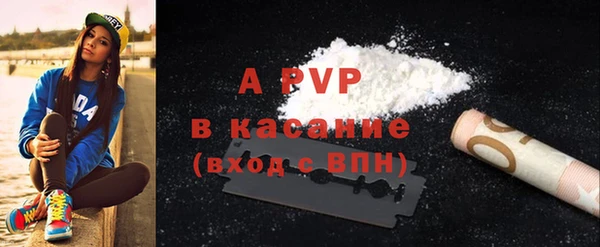 прущие грибы Абинск