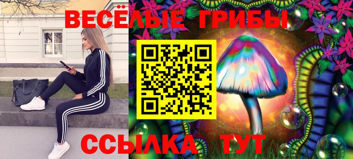 Галлюциногенные грибы мухоморы Серпухов