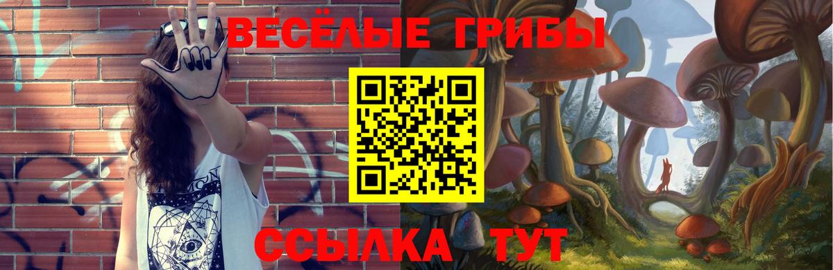 Галлюциногенные грибы GOLDEN TEACHER  Вход с VPN  Псилоцибиновые грибы Cubensis  где найти наркотики  Серпухов 